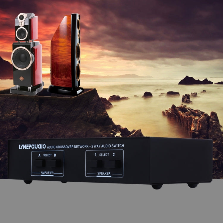 B822 Passive Speaker Switch 2 Channel Power Amplifier Audio Switch Loudspeaker,  2 Input and 2 Output(Black)