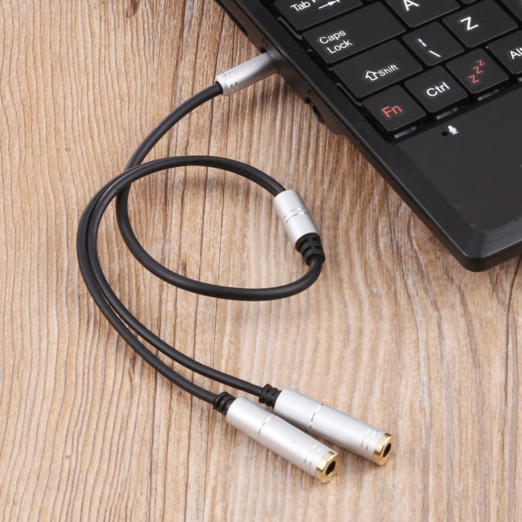 2 x 3.5mm Female to 3.5mm Male Adapter Cable