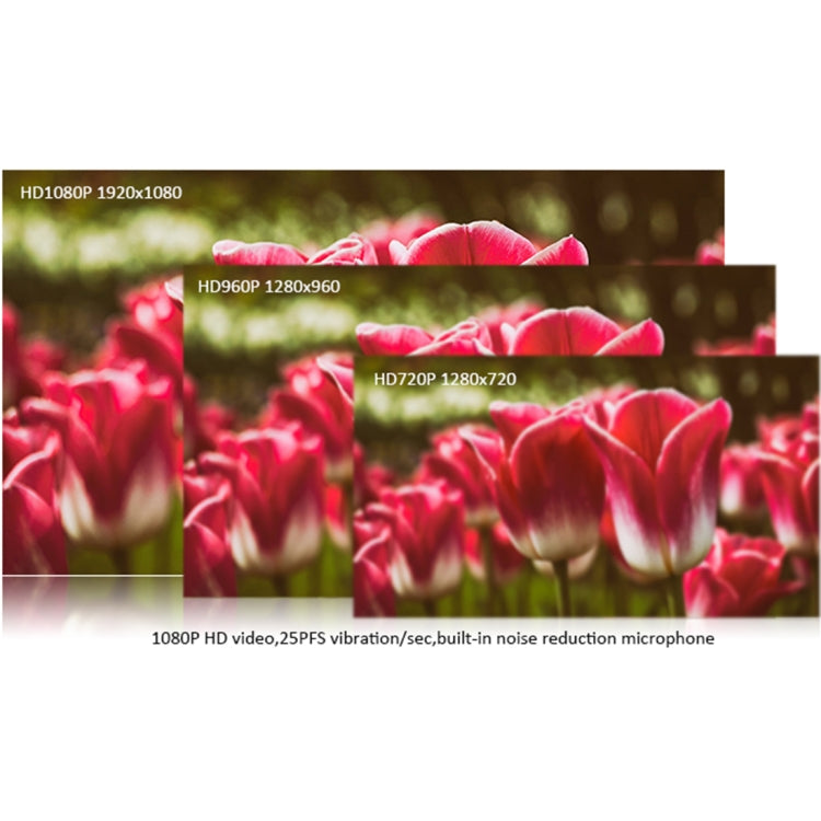 H800 2.0 Mega Pixels 1080P HD Drive-free USB Computer Camera