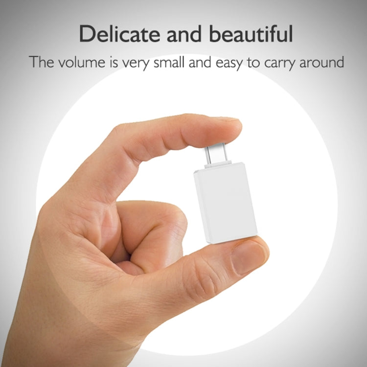 basix H2 USB-C / Type-C to HDMI 4K Multi-function Converter (Silver)