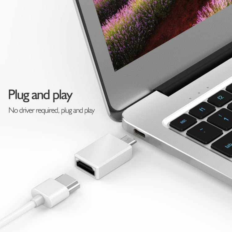 basix H2 USB-C / Type-C to HDMI 4K Multi-function Converter (Silver)