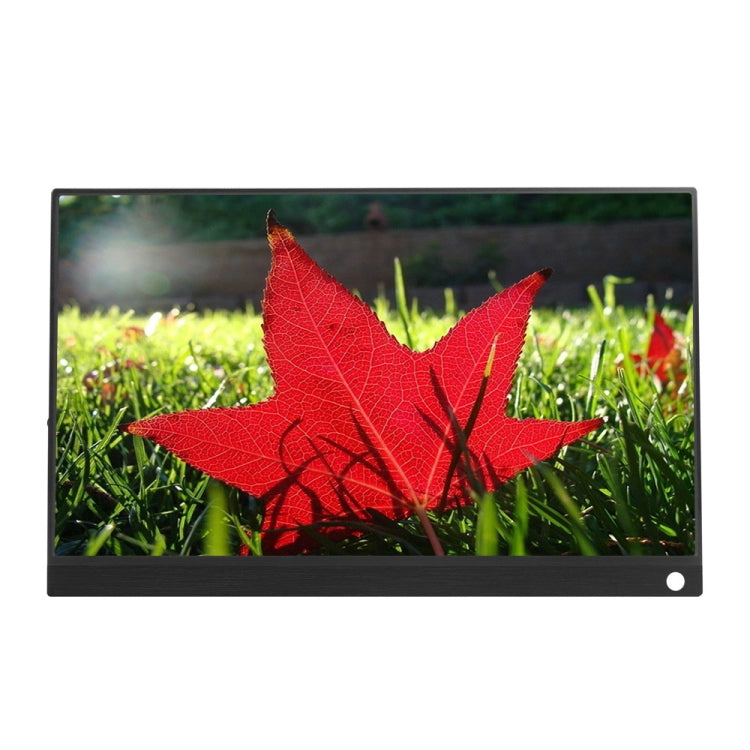 15.6 inch 1080P 178 Degree Wide Angle HD Portable Touch IPS LED Display Monitor