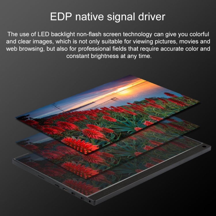 15.6 inch 1080P 178 Degree Wide Angle HD Portable Touch IPS LED Display Monitor