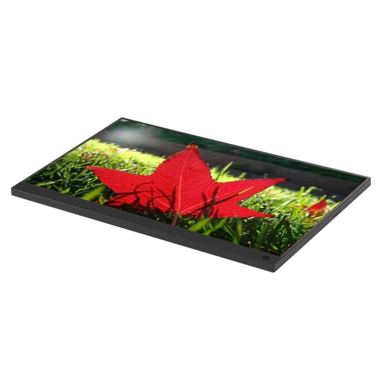 15.6 inch 1080P 178 Degree Wide Angle HD Portable Touch IPS LED Display Monitor