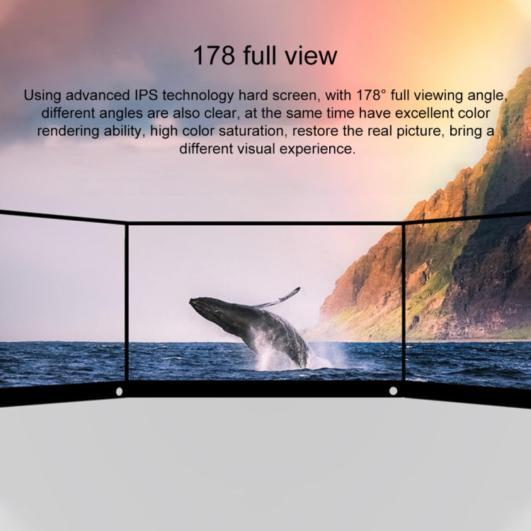 15.6 inch 1080P 178 Degree Wide Angle HD Portable Touch IPS LED Display Monitor