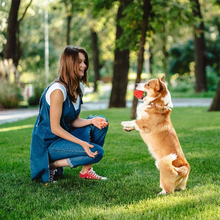 Strawberry Rubber Dog Chew Leaky Food Toy Pet Supplies