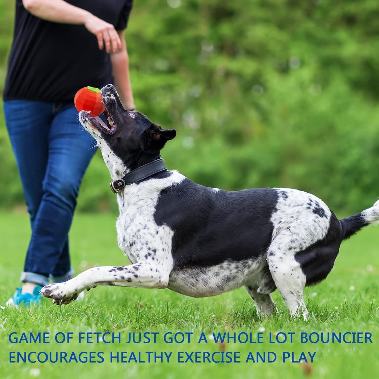 Tomato Shape Pet Sound Rubber Toy Pet Supplies