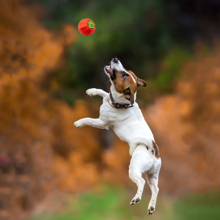 Tomato Shape Pet Sound Rubber Toy Pet Supplies