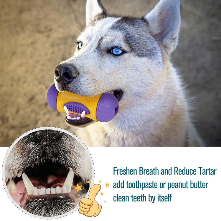 Natural Rubber+TPR Material Waist Drum Shape Dog Missing Food Toy Pet Products