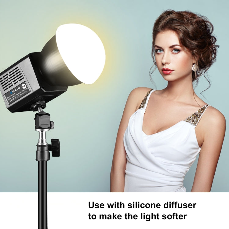 PULUZ 60W Studio Video Light 2500K-6500K Dual Color Temperature Professional Photography Fill Light  - Black