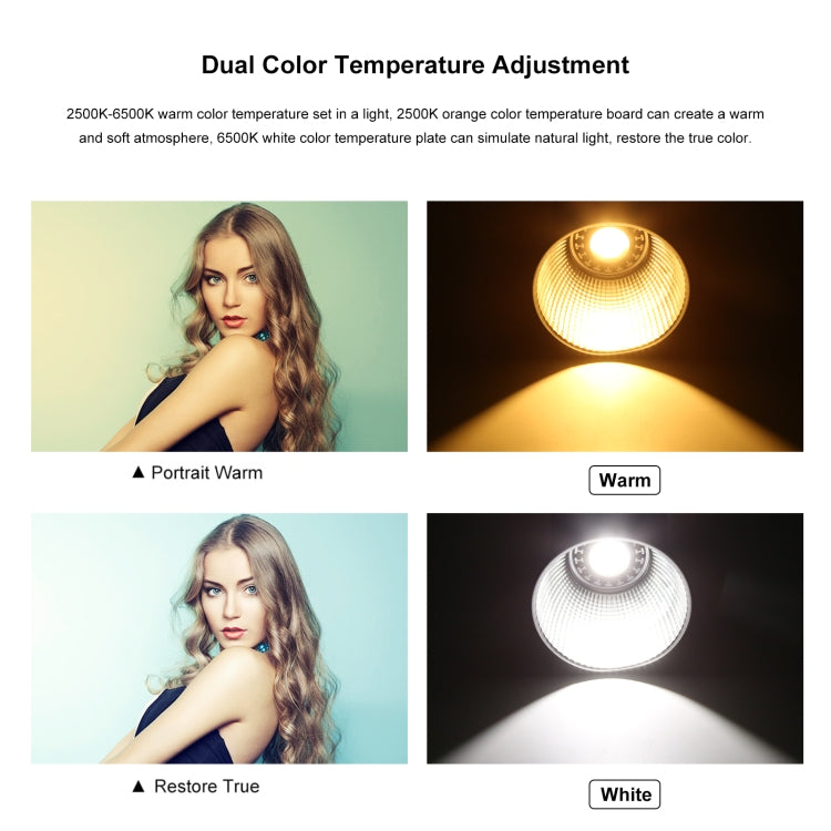 PULUZ 60W Studio Video Light 2500K-6500K Dual Color Temperature Professional Photography Fill Light  - Black