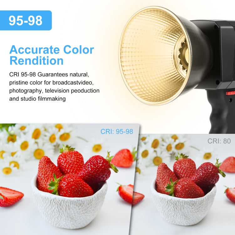 PULUZ 60W Studio Video Light 2500K-6500K Dual Color Temperature Professional Photography Fill Light  - Black