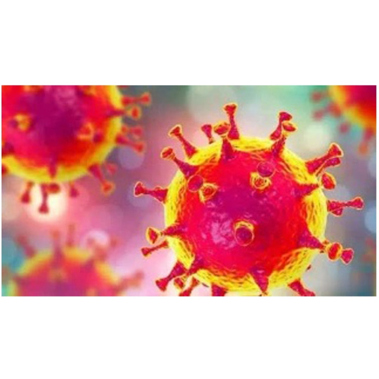 Diagnostic Reagent Kit for The New Coronavirus 2019-nCoV IgM