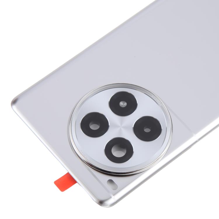 For OnePlus Ace 3 Pro PJX110 Original Glass Battery Back Cover with Camera Lens Frame - Silver