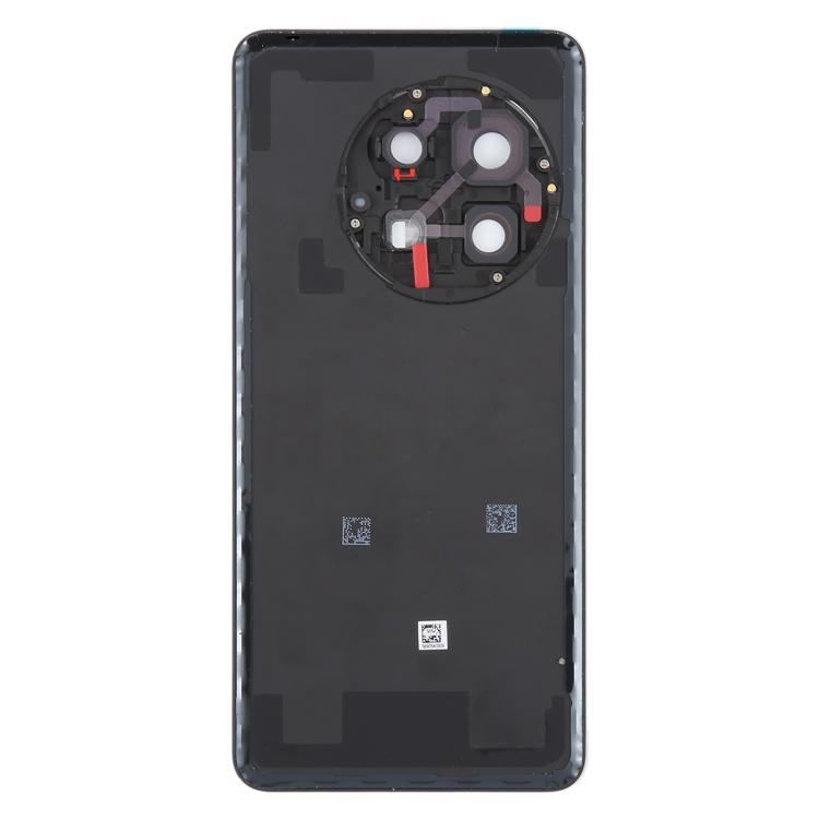 For OnePlus 13 CPH2655 CPH2653 PJZ110 Original Glass Battery Back Cover with Camera Lens Frame - Matte Black