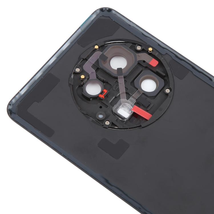 For OnePlus 13 CPH2655 CPH2653 PJZ110 Original Glass Battery Back Cover with Camera Lens Frame - Matte Black
