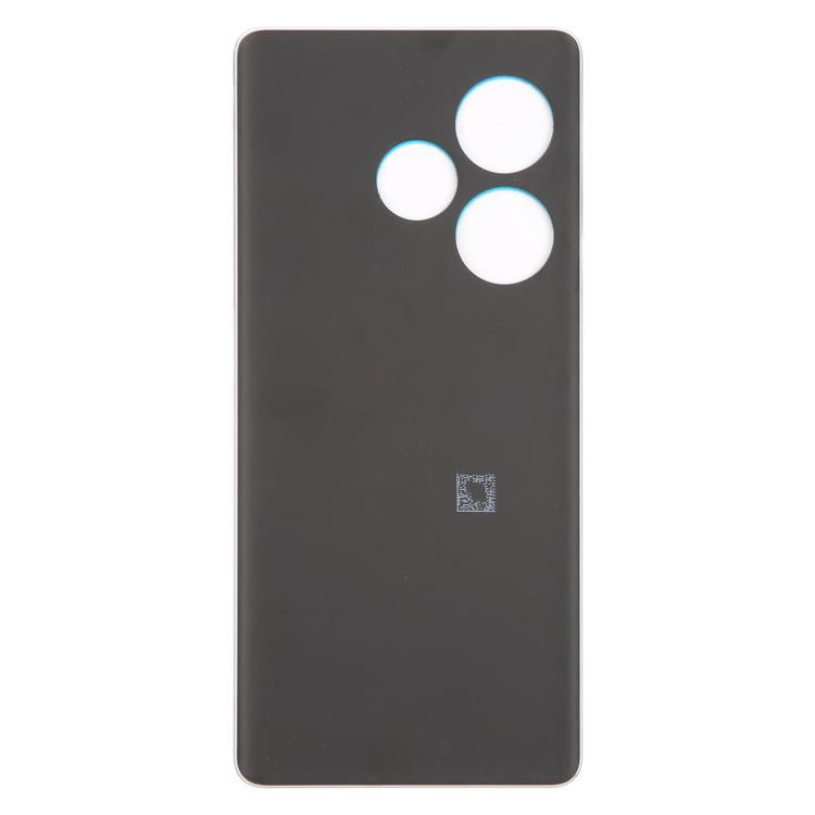 For Realme GT 6 Global Original Back Cover