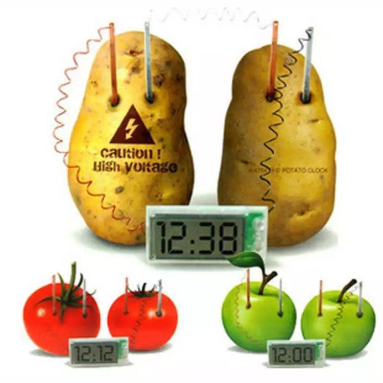DIY Novel Green Science Potato Digital Clock Educational Kit with 2 inch LCD Screen (Potato NOT Included)(White)