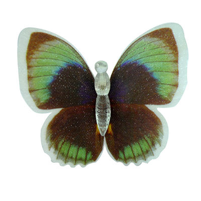 Changing Color Fiber Optic LED Butterfly