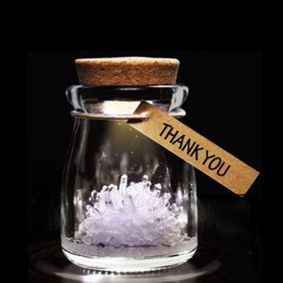 LED Lights Wishing Elves Planted Crystal Shine Wishing Bottles(White)