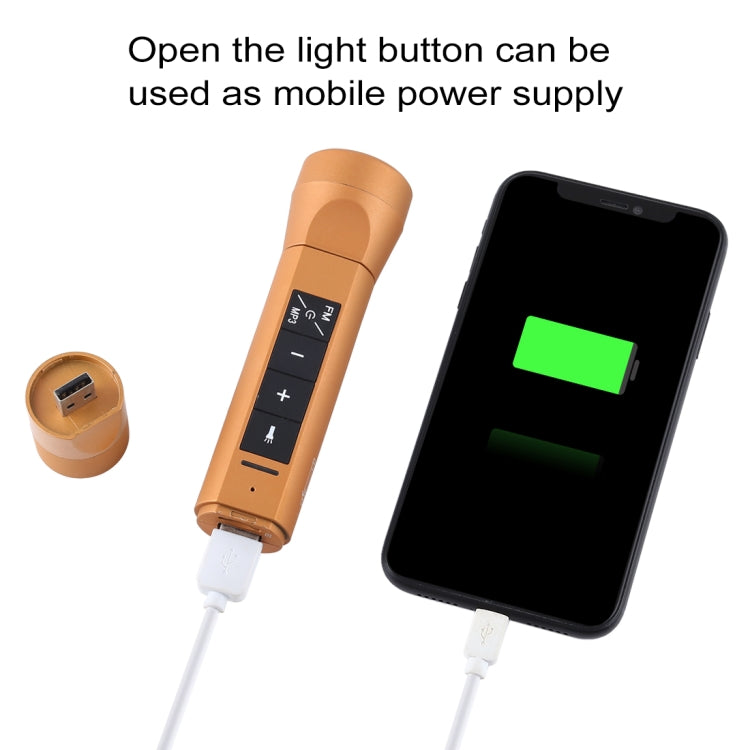 3 in 1 Multi-functional Bicycle Magic Music Flashlight MP3 Player Speaker(Gold)