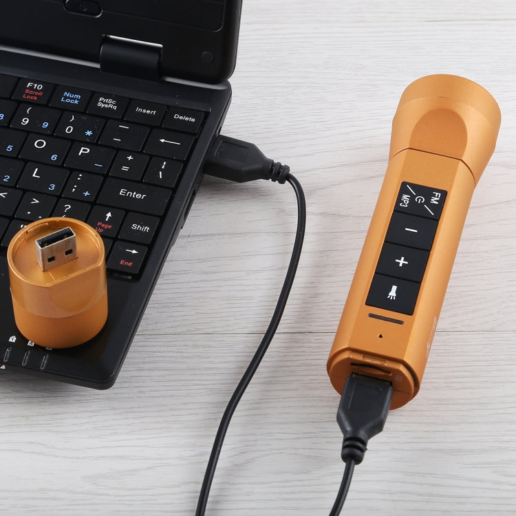 3 in 1 Multi-functional Bicycle Magic Music Flashlight MP3 Player Speaker(Gold)