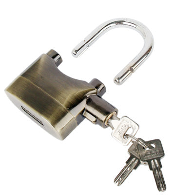 Stainless Steel 70dB Alarm Security Lock