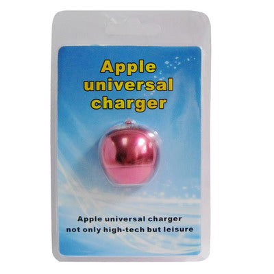 Apple Universal Charger and TF Card Reader