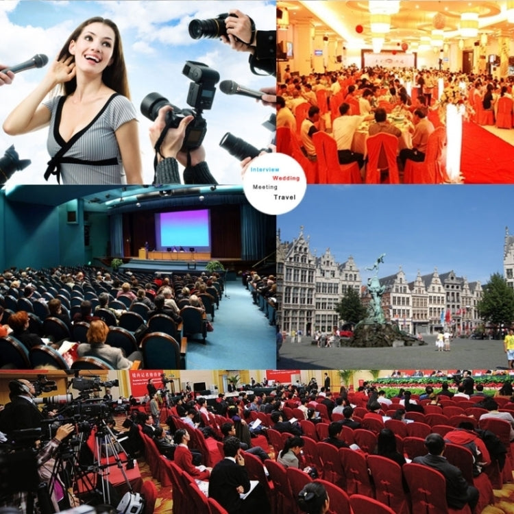 SG-103 Professional Interview Capacitance Microphone with Wind Shield for DSLR & DV Camcorder