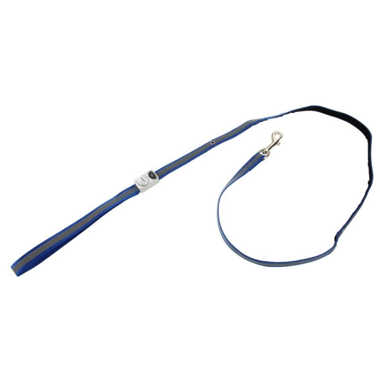Nylon Dog Puppy LED Flashing Leash Pet Training Lead Rope for Daily Walking, Length: 1.2m(Blue)