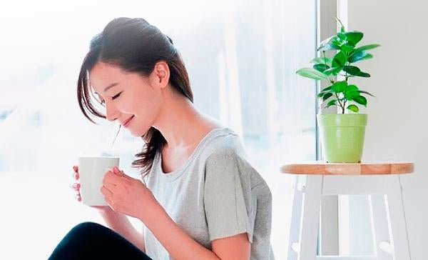 2 PCS Food Grade Leaf Silicone Make Tea Bag Stainless Steel Tea Strainers(Blue)