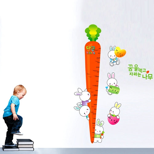 DIY Fashion Self Adhesive PVC Removable Wall Stickers / House Interior Decoration Pictures -- Carrot & Bunny, Size: 70cm x 50cm