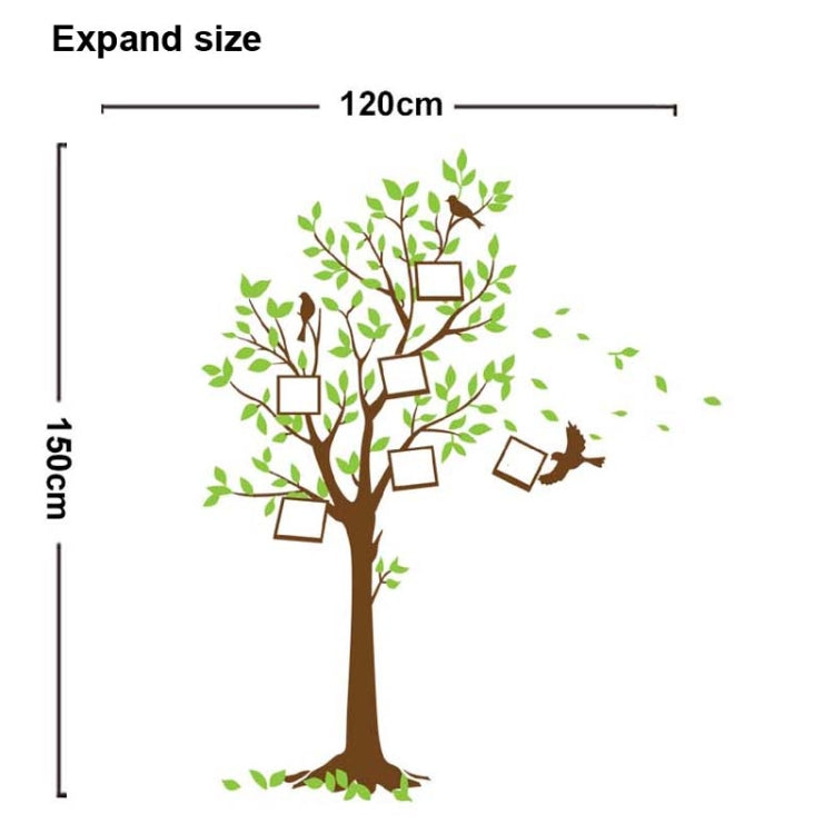 DIY Fashion Self Adhesive PVC Removable Wall Stickers / House Interior Decoration Pictures -- Frame Tree, Size: 90cm x 60cm