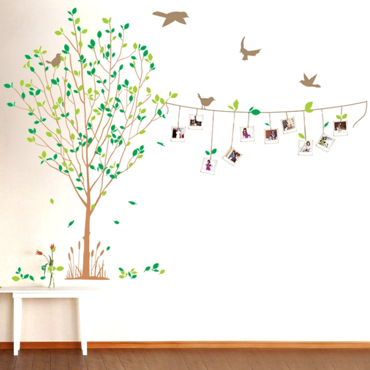 DIY Fashion Self Adhesive PVC Removable Wall Stickers / House Interior Decoration Pictures -- Photo Wall & Tree, Size: 90cm x 60cm