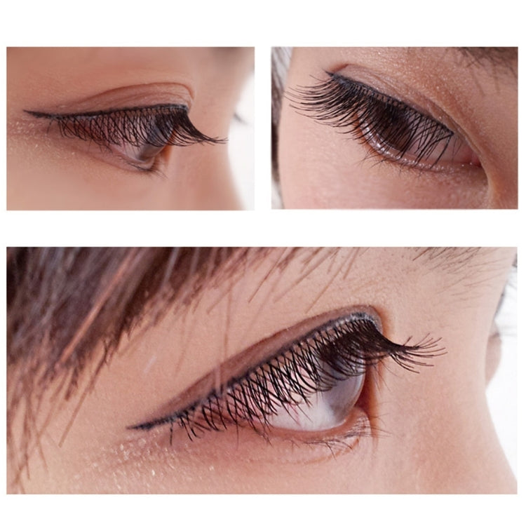 Natural Makeup Full Strip Lashes Charming Long Thick Black False Eyelashes / Fake Eyelashes, 5 Pairs / Pack, Length: 12mm
