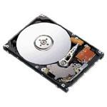 2.5 inch IDE Hard Disk , 160GB Memory capacity