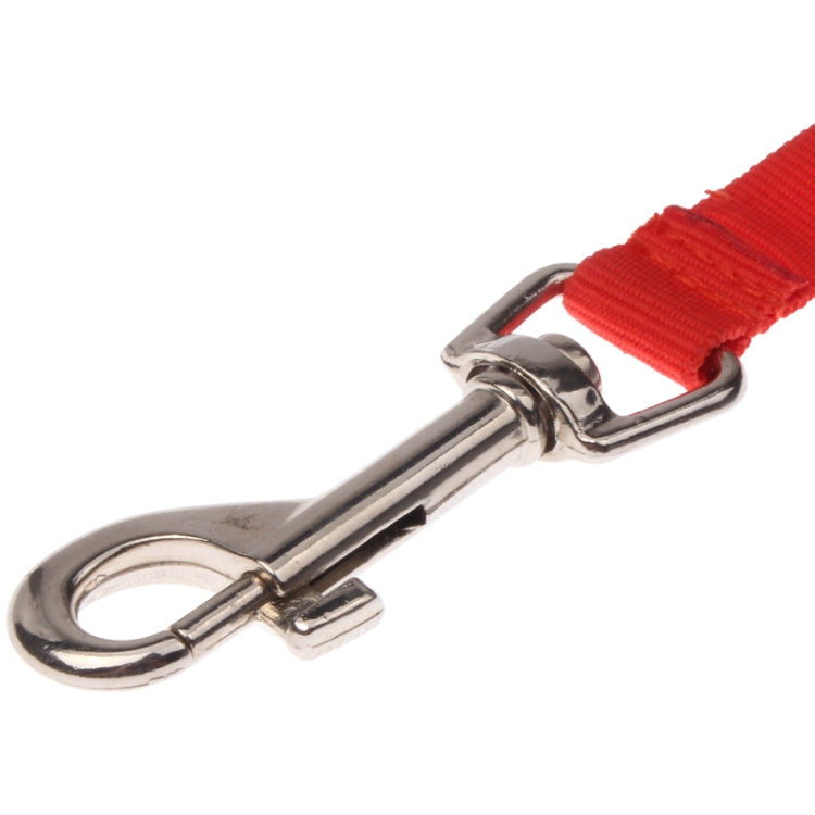 Portable LED Light Flexible Leash String Strap Rope Lead for Dog