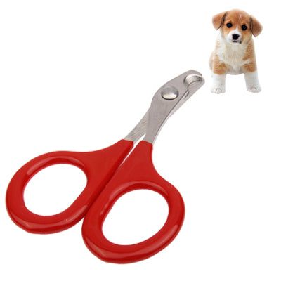 5 PCS Small Pet Nail Clipper Nail Scissors Pet Dog Cat Scissors Cutter(Red)