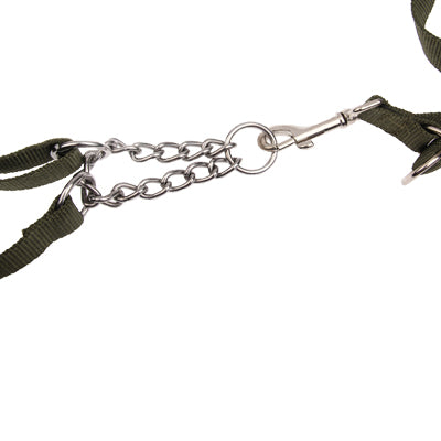 Durable Nylon Dog Leash Pet Strap with Dog Collar Neck Strap