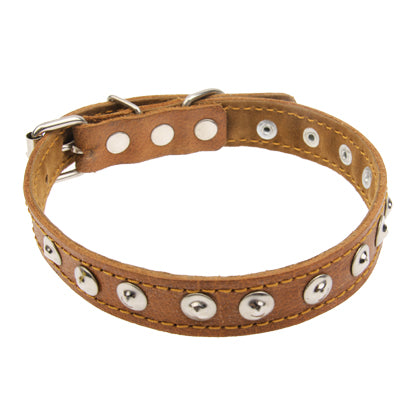 New Style Durable Synthetic Leather Dog Collar Pets Neck Strap ( Size: 48 x 2.0cm)