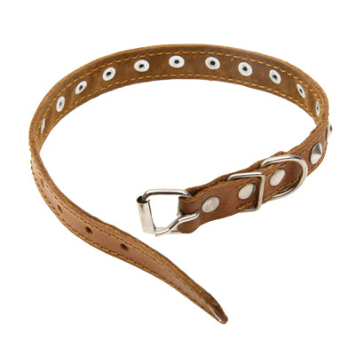 New Style Durable Synthetic Leather Dog Collar Pets Neck Strap ( Size: 48 x 2.0cm)