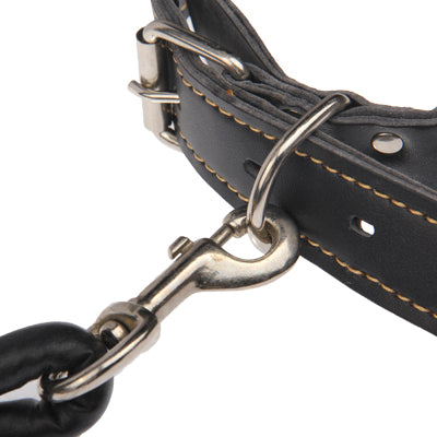 Cowhide Leather Harness Lead Leash Traction Rope Dog Rope Chain for Puppy Dog Pet(Black)