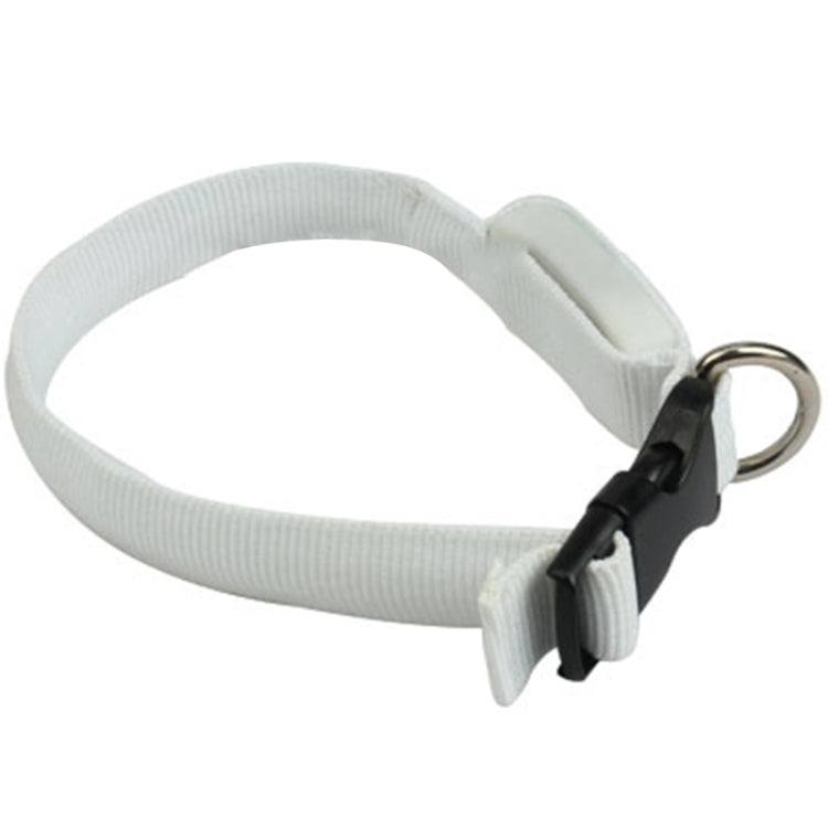 Colorful Luminous Pet Dog Collar (Random Color Delivery)