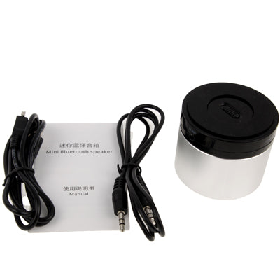 Mini 2.0 Bluetooth Speaker with Speakerphone  (Silver)