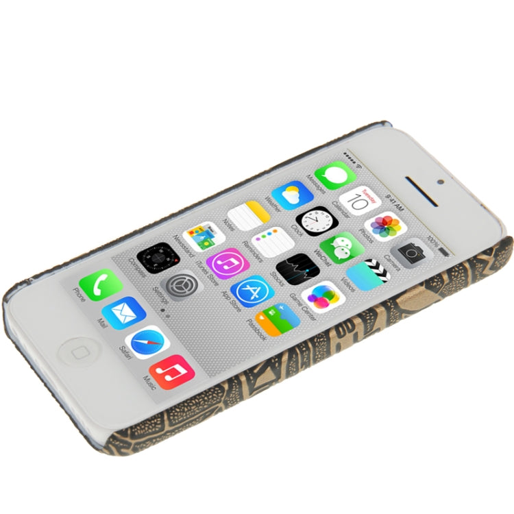 Egyptian Wall Painting Pattern Skinning Plastic Case for iPhone 5C