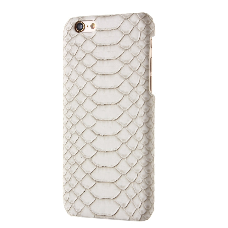 Snakeskin Texture Hard Back Cover Protective Back Case for iPhone 5