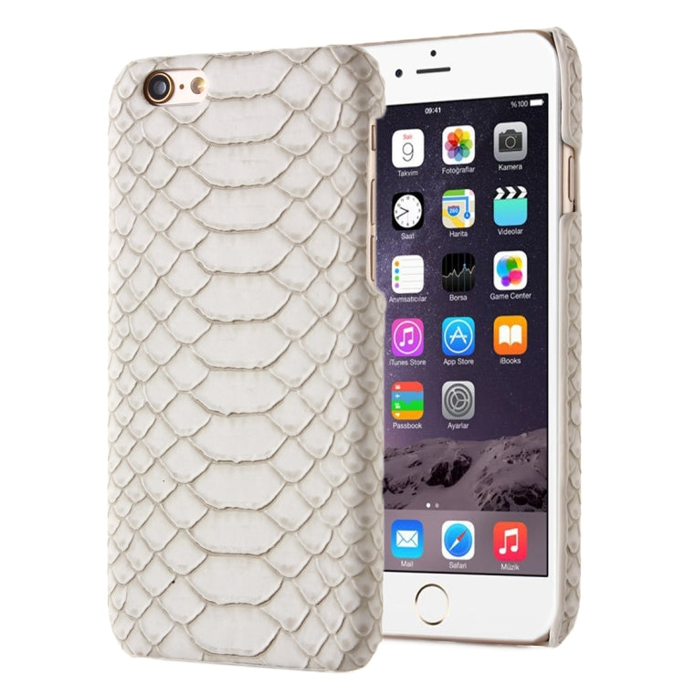 Snakeskin Texture Hard Back Cover Protective Back Case for iPhone 5