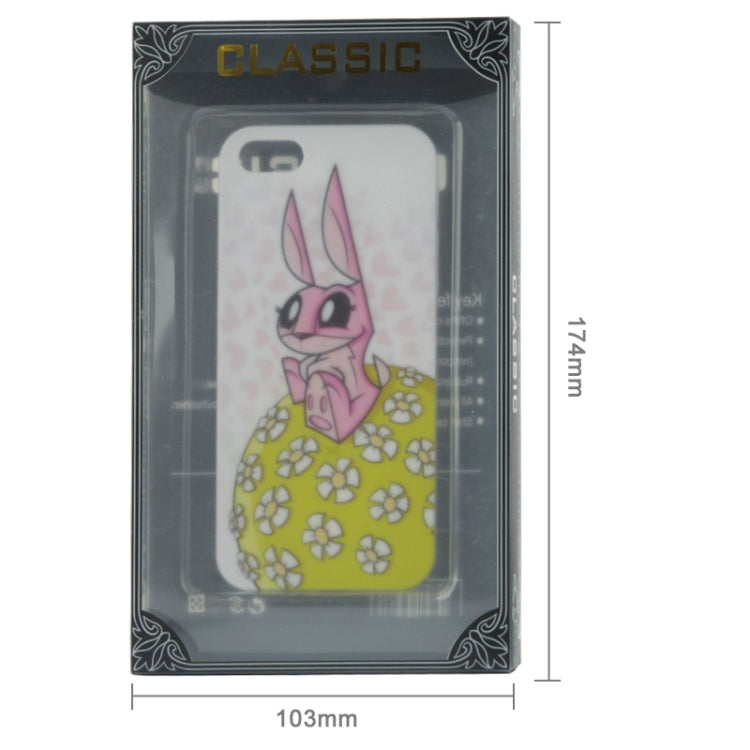 Color Box Packing for iPhone 4 / iPhone 5 Cases
