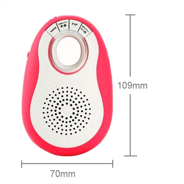 Bluetooth Speaker, with Lanyard, Support TF Card / Hands-free / FM Radio