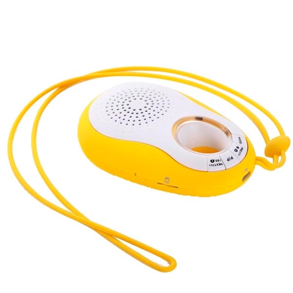 Bluetooth Speaker, with Lanyard, Support TF Card / Hands-free / FM Radio